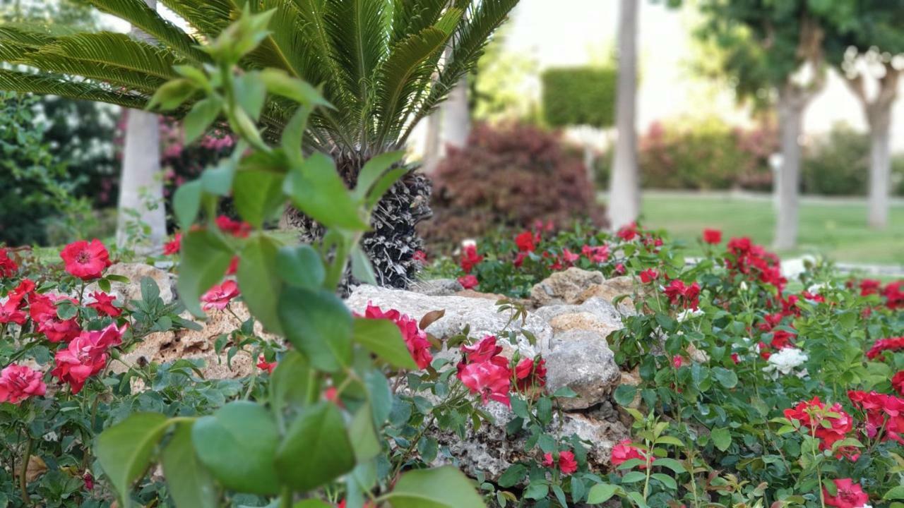 Golf Coast Los Alamos, Primera Linea De Playa Торемолинос Екстериор снимка